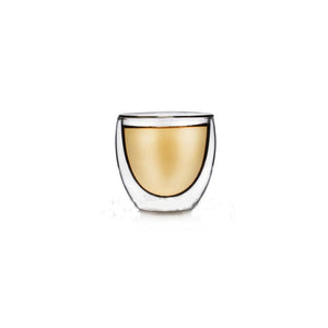 Double Wall Glass Cup